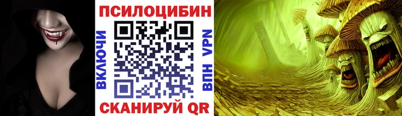 Псилоцибиновые грибы мухоморы  darknet наркотические препараты  Алексеевка 